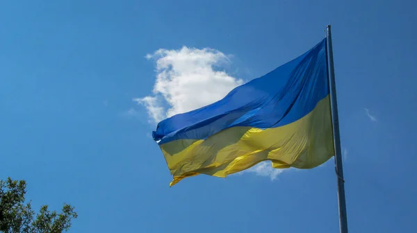 Den Gula Och Blå Flaggan Ukraina Fladdrar Vinden — Stockfoto