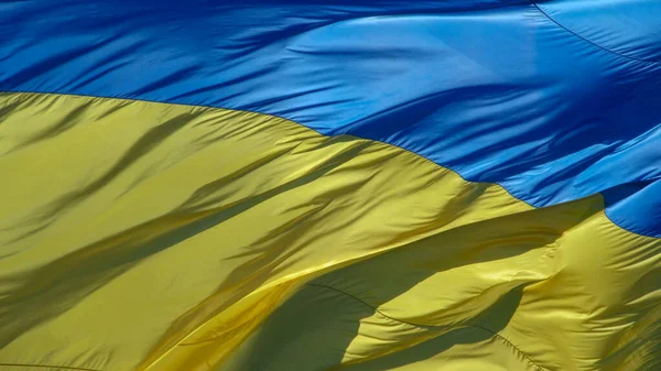 Желто Синий Флаг Украины Развевается Ветру — стоковое фото