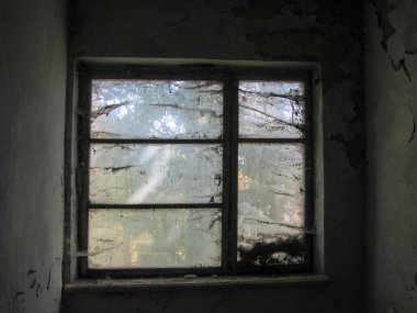 Duvarlarında çöp ve mantar olan terk edilmiş eski bir ev.