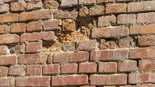 Текстура Старих Жовтих Цеглин Стіні Фону — стокове фото