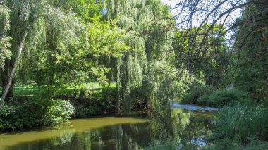 Parktaki güzel manzara ve eylülde söğütle birlikte nehir.