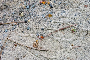 Asfalt taşlarının dokusu ve yerde kum.