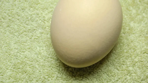 Telur Ayam Rebus Dapur — Stok Foto