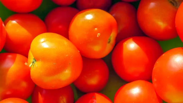 Läckra Små Röda Tomater Till Sallad — Stockfoto