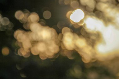 Güzel renkli ışıkların odak noktasını kapat