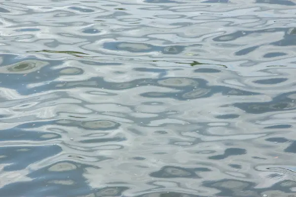 湖上的水和风暴以及植被 — 图库照片