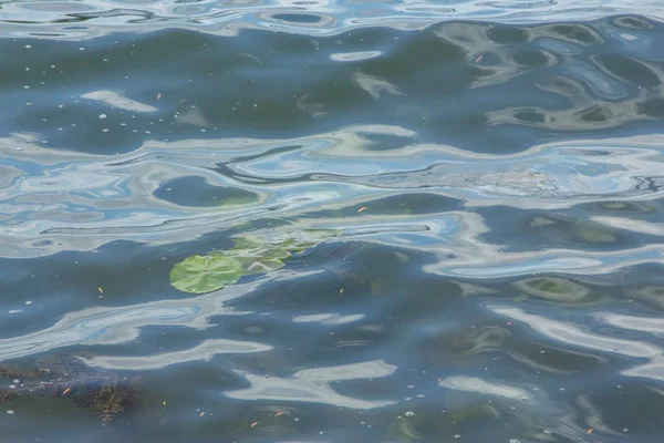 Air Dan Badai Danau Dan Vegetasi — Stok Foto