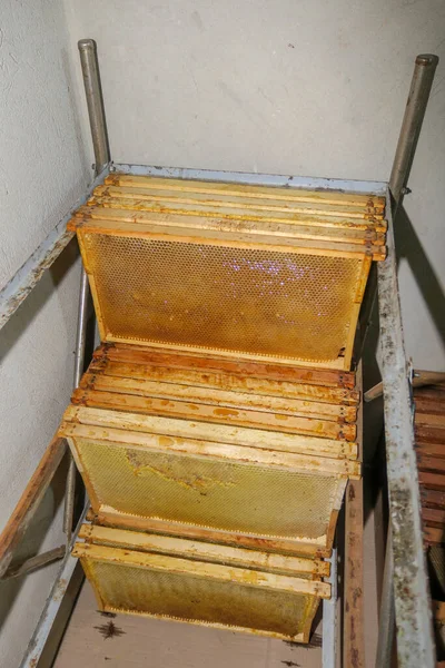 Κενά Μικρά Κουφώματα Μελιού Για Μέλισσες Στο Μελισσοκομείο — Φωτογραφία Αρχείου