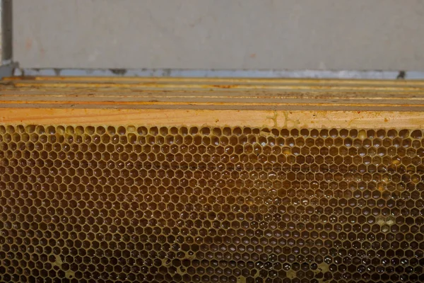 空小さな蜂蜜フレームのために蜂でザApiary — ストック写真