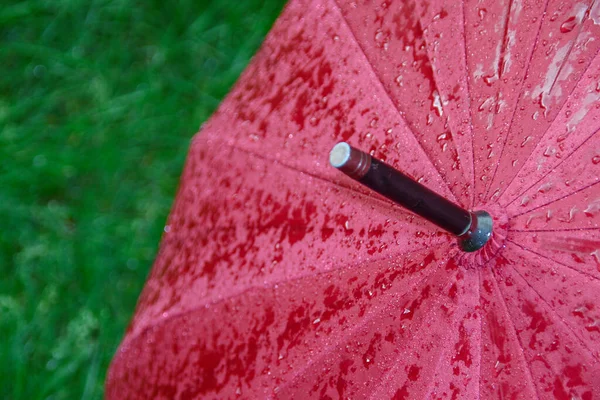 Big Red Umbrella Drops Water Rain — Stock Photo, Image