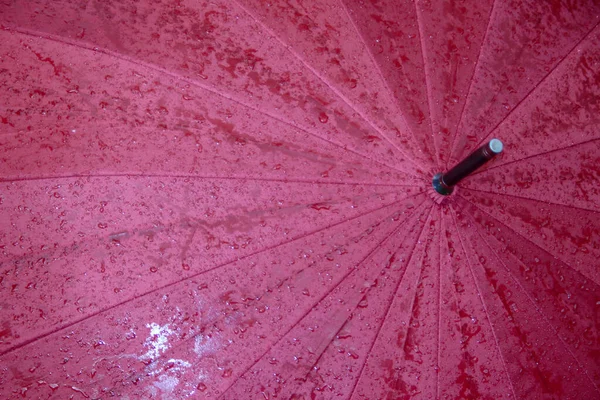 Grand Parapluie Rouge Avec Gouttes Eau Après Pluie — Photo