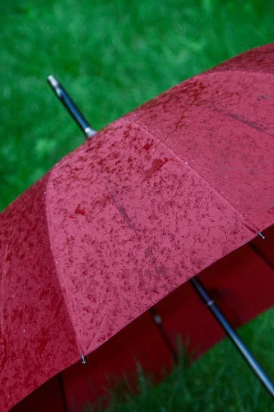 Grand Parapluie Rouge Avec Gouttes Eau Après Pluie — Photo