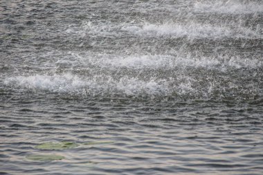 Bir havuz üzerindeki şehir çeşmesinin su jetleri.