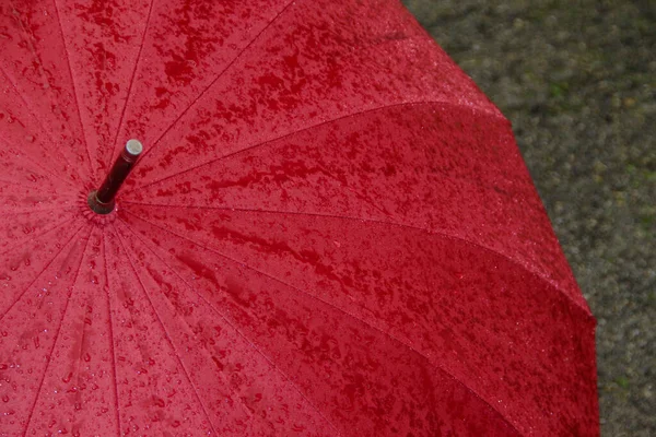 Grand Parapluie Rouge Avec Gouttes Eau Après Pluie — Photo