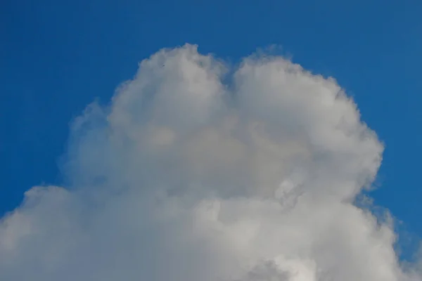 Langit Biru Dalam Cuaca Musim Panas Yang Baik — Stok Foto