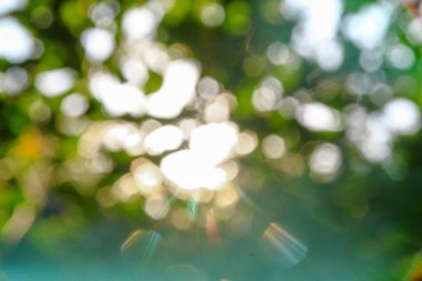 Arkaplanda yeşil elma yapraklarının üzerine çoklu renkli güneş ışınları.