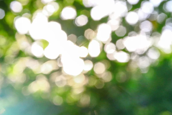 Arkaplanda Yeşil Elma Yapraklarının Üzerine Çoklu Renkli Güneş Işınları — Stok fotoğraf