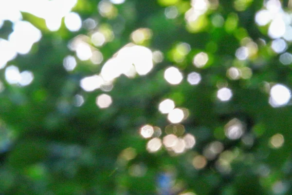 Bunte Sonnenstrahlen Defokussierung Auf Einem Hintergrund Aus Grünen Apfelblättern — Stockfoto