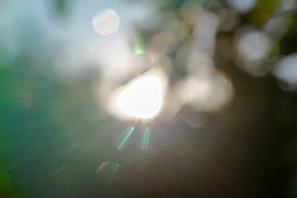 Rayos Sol Multicolores Desenfoque Sobre Fondo Hojas Manzana Verde —  Fotos de Stock