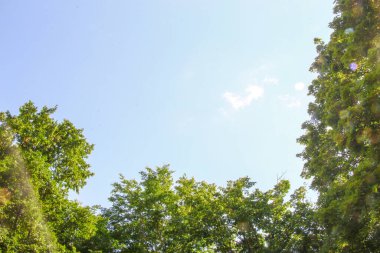 Güzel bulutlar ve açık bir yaz gününde gökyüzü