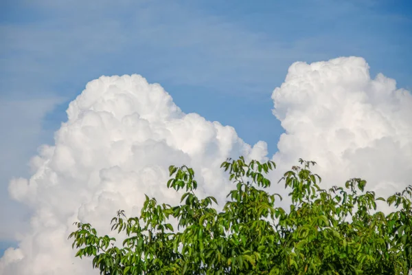 Lindas Nuvens Céu Dia Claro Verão — Fotografia de Stock
