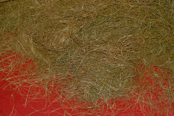Hooi Droog Gras Een Rode Oliedoek — Stockfoto