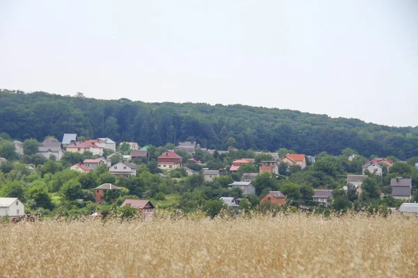 Pšeničné Pole Kopce Blízkosti Lesa — Stock fotografie