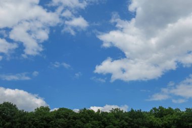 Mavi gökyüzü ve gri bulutlar güzel havada ormandaki ağaçların arka planında