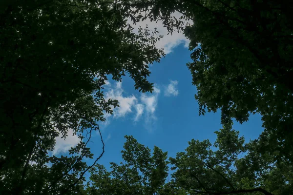 Céu Azul Nuvens Cinzas Bom Tempo Fundo Árvores Floresta — Fotografia de Stock