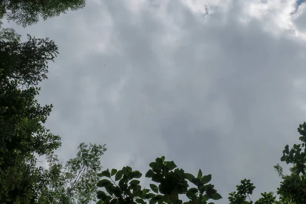 Cielo Azul Nubes Grises Buen Tiempo Sobre Fondo Árboles Bosque — Foto de Stock