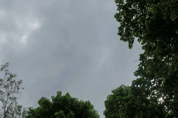 蓝蓝的天空和灰蒙蒙的云彩 天气很好 背景是森林里的树木 — 图库照片