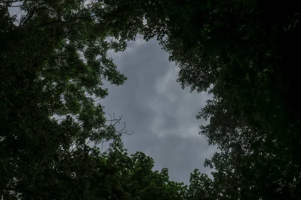 蓝蓝的天空和灰蒙蒙的云彩 天气很好 背景是森林里的树木 — 图库照片