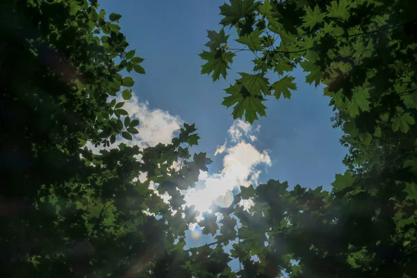 Cielo Blu Nuvole Grigie Con Bel Tempo Uno Sfondo Alberi — Foto Stock