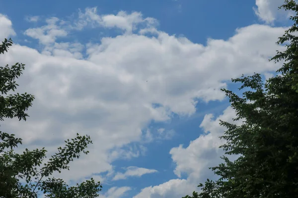 Cielo Blu Nuvole Grigie Con Bel Tempo Uno Sfondo Alberi — Foto Stock