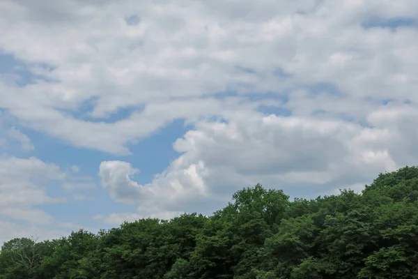 Céu Azul Nuvens Cinzas Bom Tempo Fundo Árvores Floresta — Fotografia de Stock