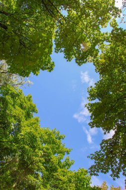 Ağustosta beyaz bulutlar üzerinde güzel mavi gökyüzü