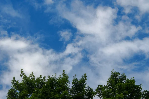 Красивое Голубое Небо Белых Облаках Августе — стоковое фото