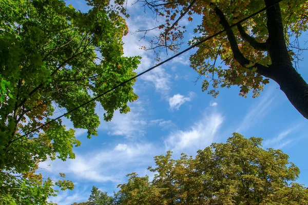 Prachtige Blauwe Lucht Witte Wolken Augustus — Stockfoto