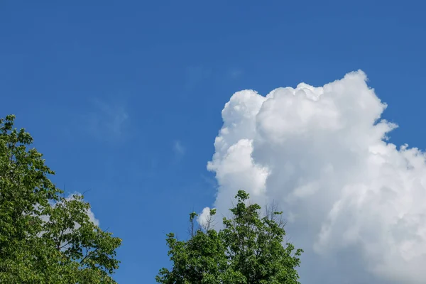 Langit Biru Dan Awan Putih Dalam Cuaca Musim Panas Yang — Stok Foto