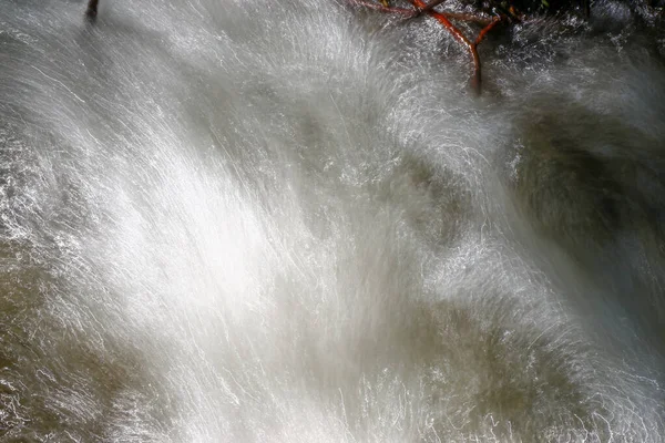 Ein Wasserstrom Einem Park Der Einen Fluss Fließt — Stockfoto