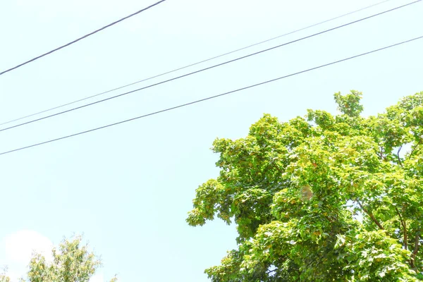 Mavi gökyüzü ve elektrik hatları Ağustos 'ta