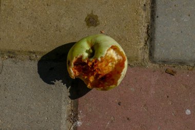 A small apple in August in the sun