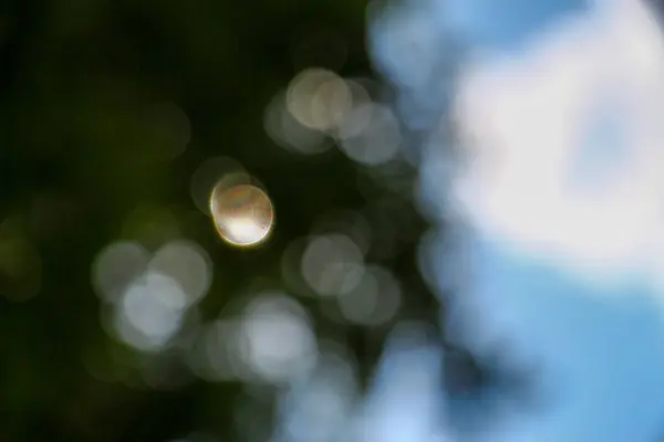 Sonnenstrahlen Defokussierten Waldhintergrund — Stockfoto