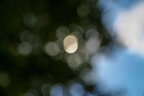 Солнечные Лучи Дефокусе Фоне Леса — стоковое фото