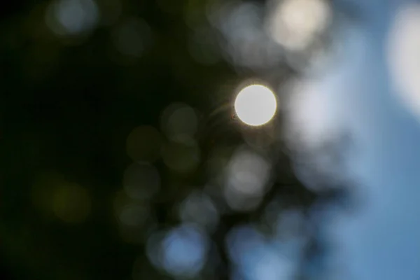 Raggi Sole Defocus Sullo Sfondo Della Foresta — Foto Stock