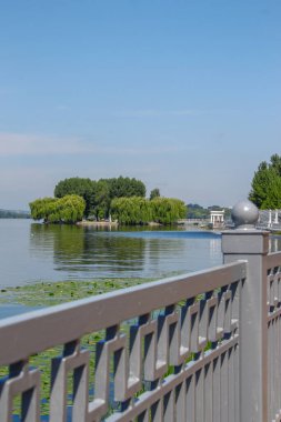 Baraj göleti ve parktaki ağaçlar