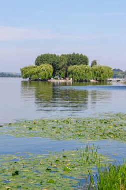 Baraj göleti ve parktaki ağaçlar