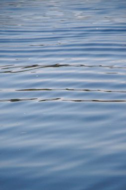 Ağustosta güneşli bir günde gölette su