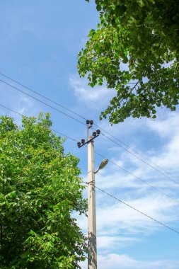 Gökyüzü arkaplanındaki elektrik hatları