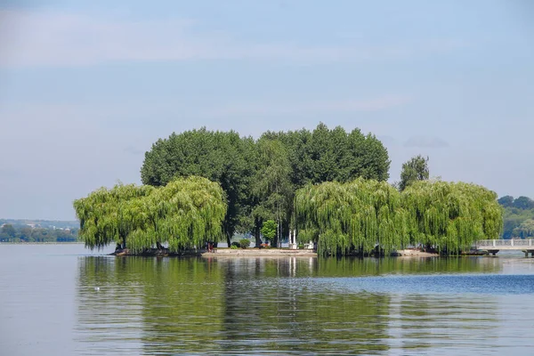 Bankdamm Och Träd Parken — Stockfoto